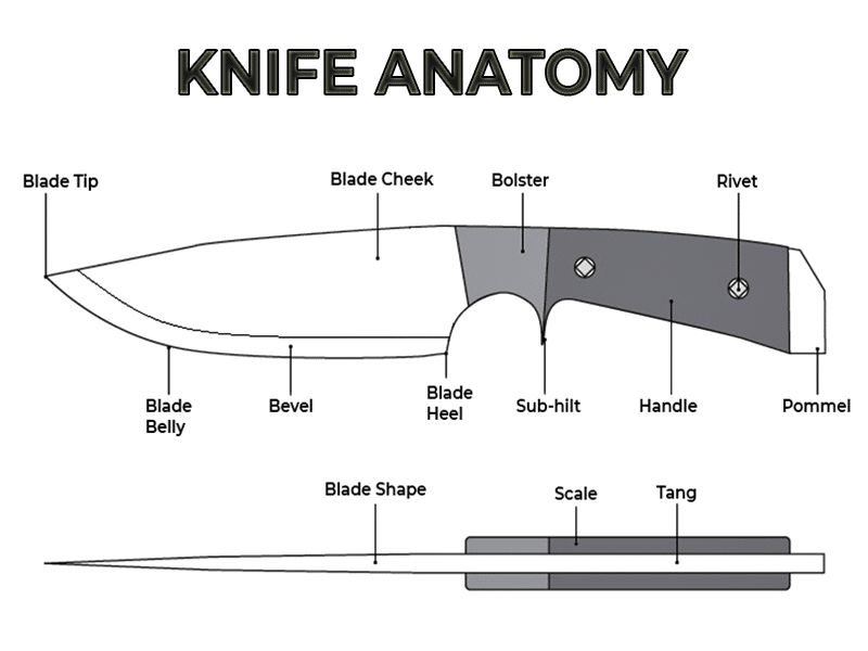 Parts Of A Knife Diagram