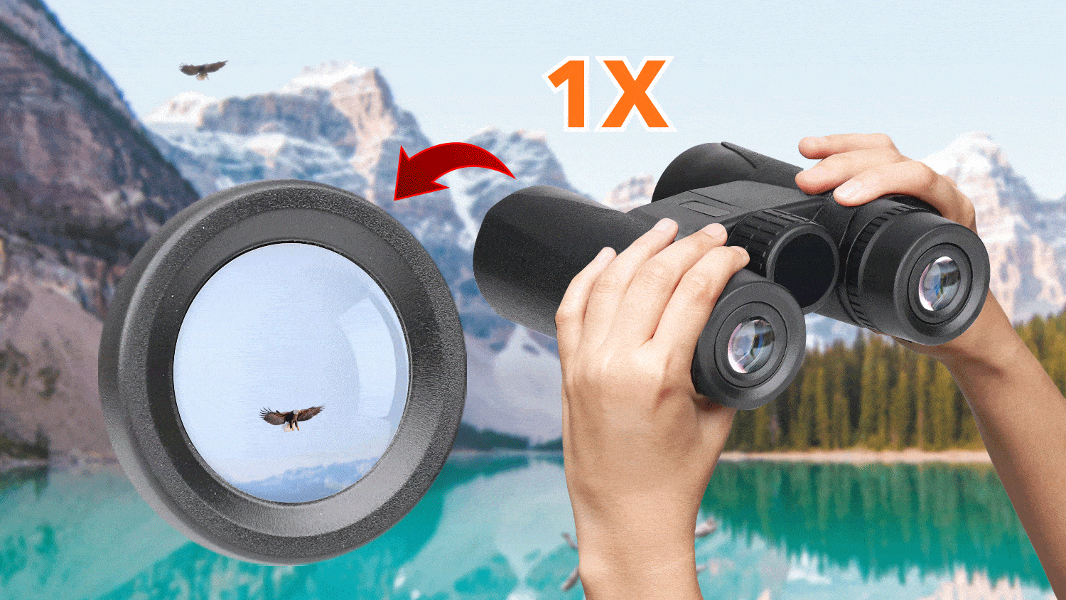 binoculars image stabilization