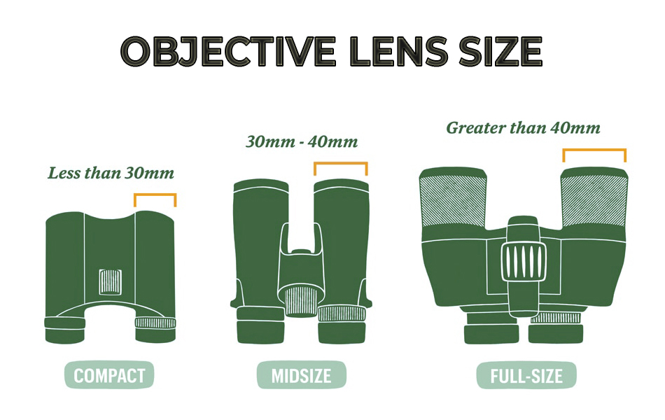 compact vs. midsize vs. full-size binoculars