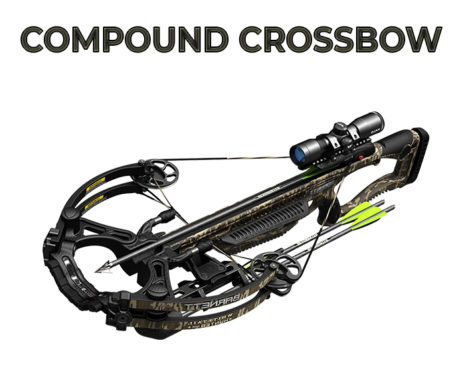 crossbow vs compound crossbow