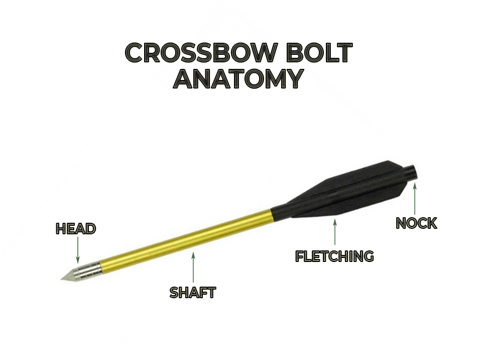 the anatomy of the crossbow bolt