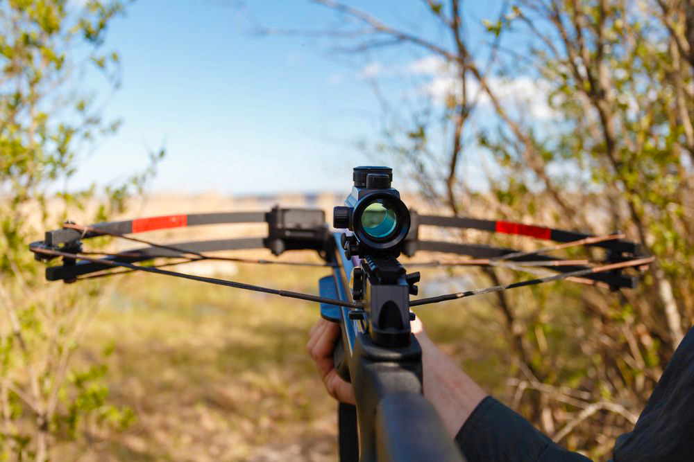 crossbow safety guidelines and tips