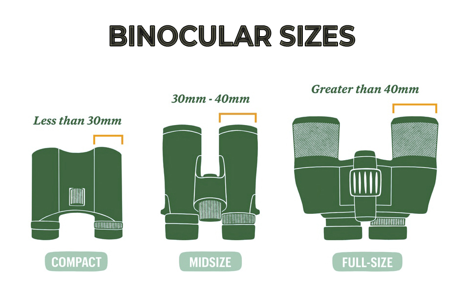 different binocular sizes