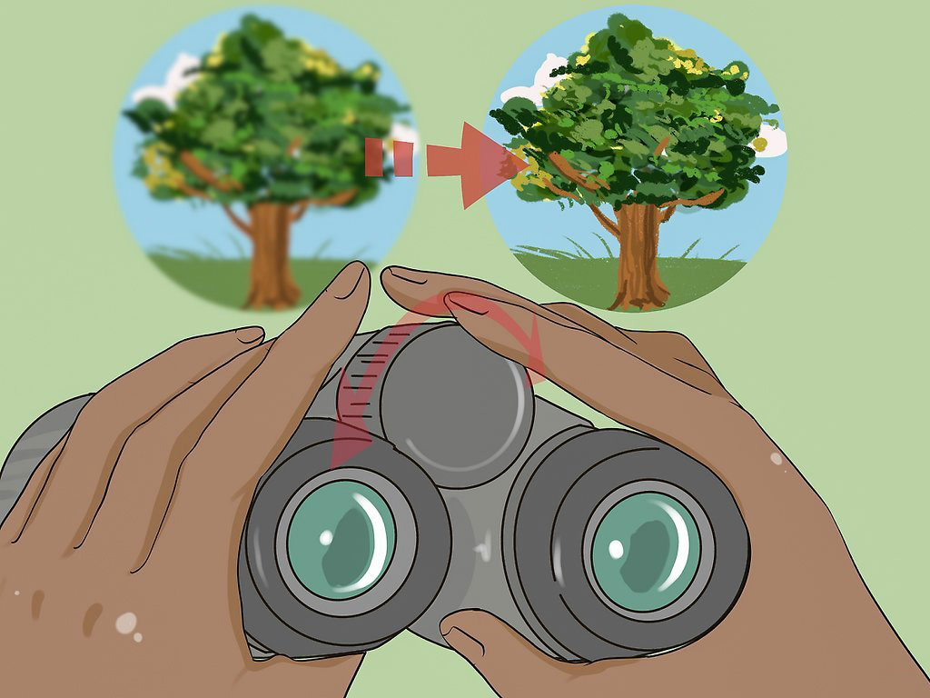 how to use binoculars focus wheel for focus