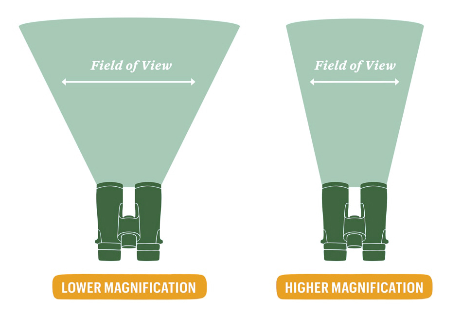 lower vs. higher field-of-view magnification binoculars