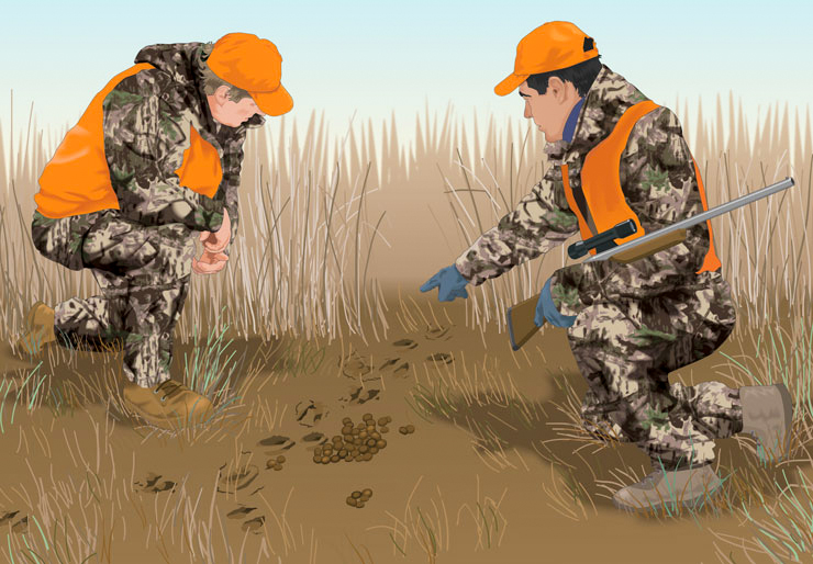 basic hunting tactics: tracking
