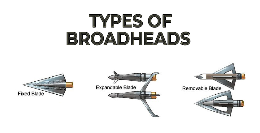 different types of broadheads: fixed vs. mechanical vs. removable