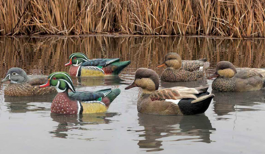 using duck decoys as hunting tactic